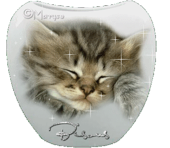 chat brilliant